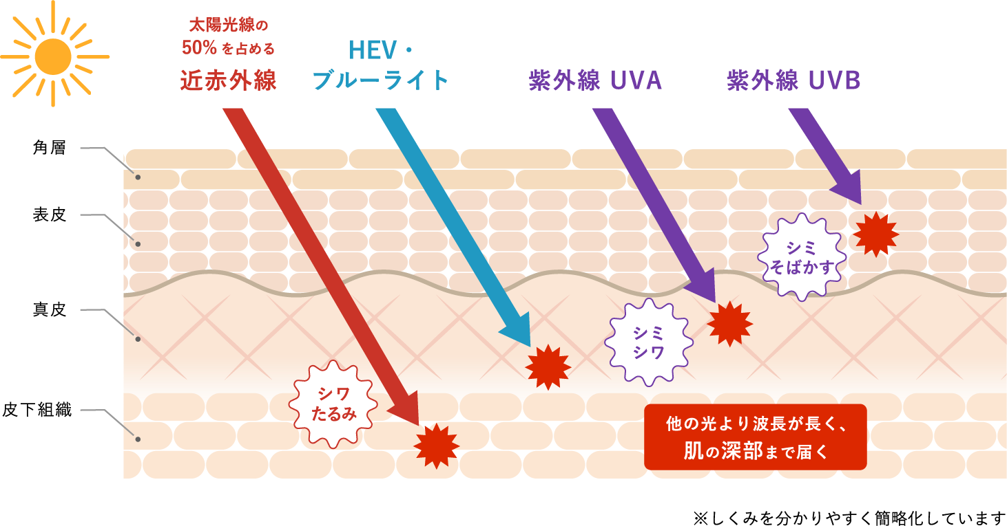 太陽光線は紫外線、可視光線、赤外線の3つに分類されます。近赤外線はこの中で赤外線に分類され、遠赤外線より短い波長800〜2500nmの光線です。